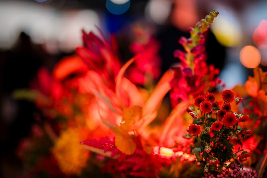 Positive Competition 5th anniversary