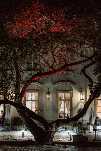 Stowarzyszenie Prawa Konkurencji